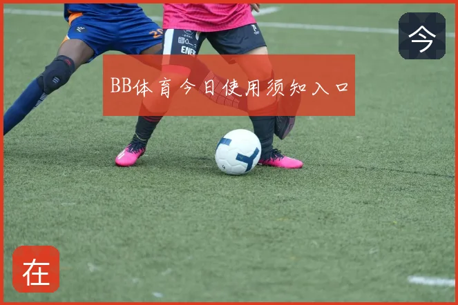 BB体育今日使用须知入口